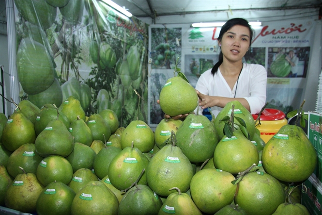 Chương trình KHCN phục vụ xây dựng NTM: Phát huy lợi thế của từng vùng, miền