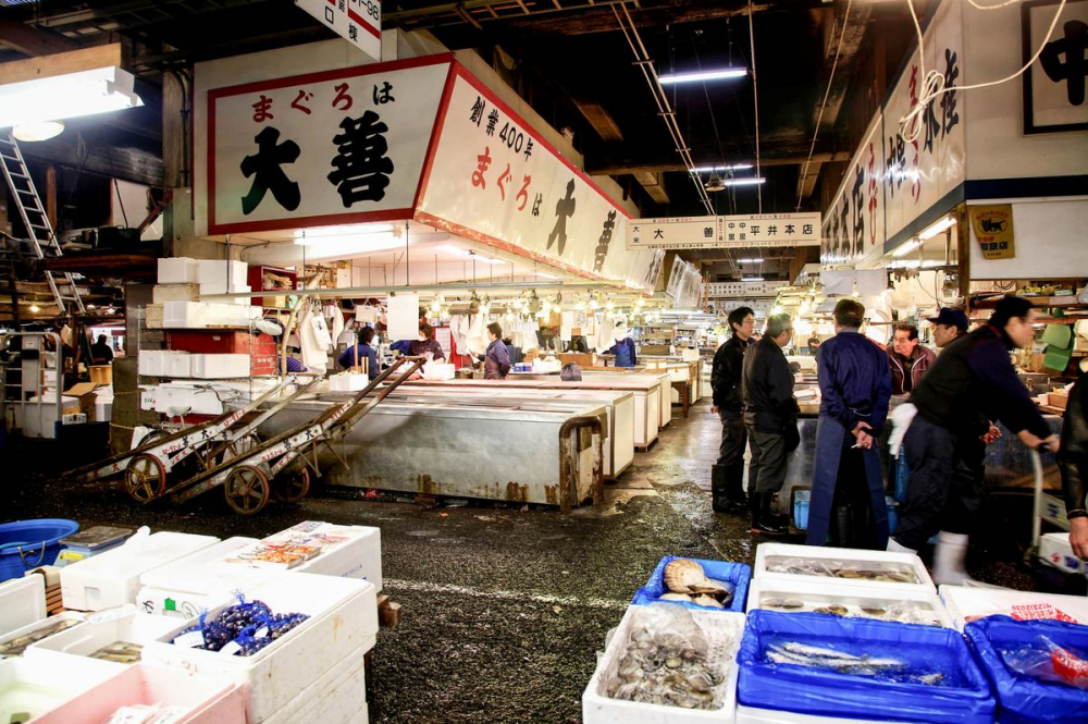 Tháng 10 tới, chợ cá Tsukiji sẽ được di dời đến một địa điểm mới