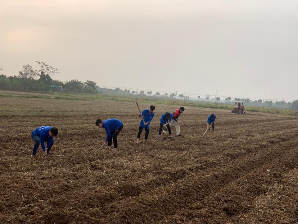 Vườn chuối của Đoàn