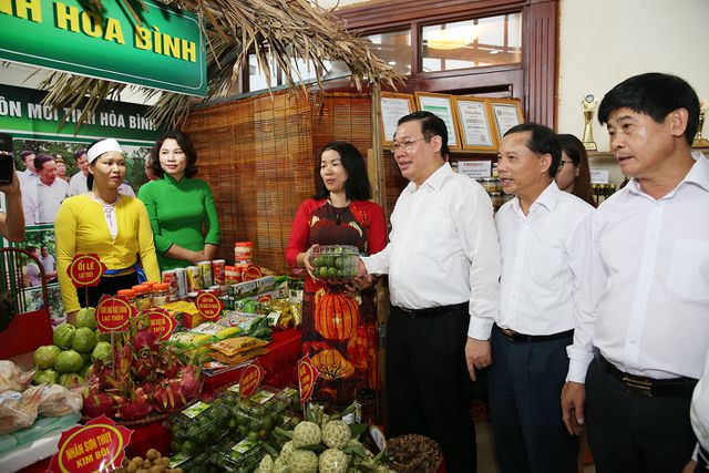 Phó Thủ tướng Vương Đình Huệ thăm gian hàng trưng bày nông sản đặc sản của các tỉnh miền núi phía Bắc sáng 3/8, tại Hòa Bình
