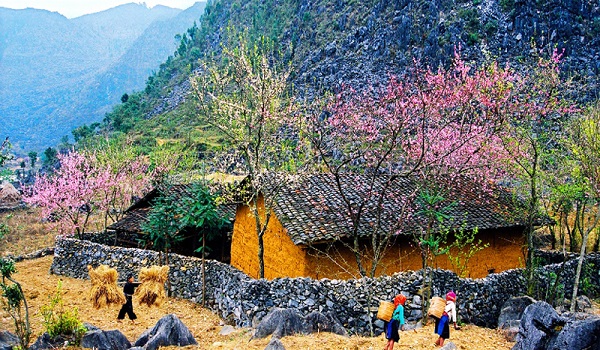 Những mặt tích cực và hạn chế sau 10 năm thực hiện Nông thôn mới tại vùng núi phía Bắc