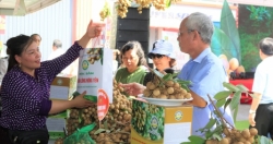 “Nhãn lồng Hưng Yên hương vị tiến vua” chính thức có mặt tại Hà Nội