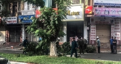 Hà Nội: Cây đổ trên phố Trần Đăng Ninh làm một người tử vong