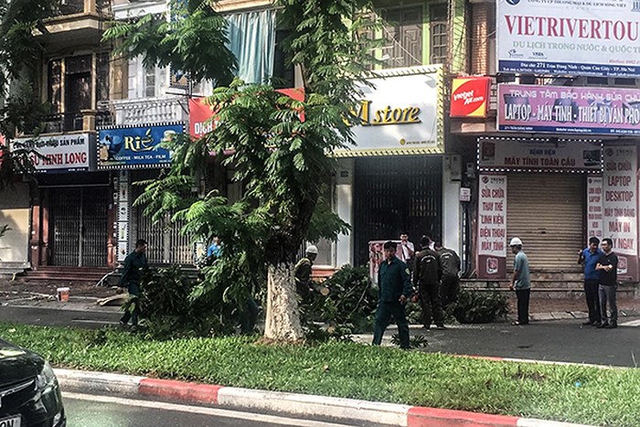 Vụ cây đổ làm một người tử vong tại Hà Nội: Xác định cây muồng đã đổ 3 tiếng trước đó