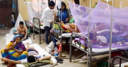 Bangladesh đối diện dịch sốt xuất huyết tồi tệ nhất trong lịch sử