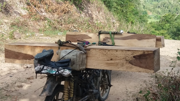 Xe chở gỗ đỗ trước trạm của Ban quản lý rừng