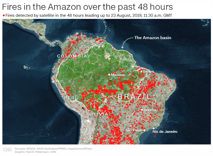 Hình ảnh đồ họa thể hiện hàng trăm đám cháy xảy ra tại rừng mưa nhiệt đới Amazon trong vài ngày qua