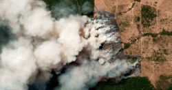 Rừng Amazon cháy vì... thế giới ăn quá nhiều thịt