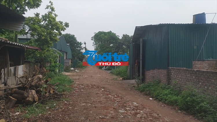 Hàng loạt nhà xưởng xây dựng trái phép trên đất nông nghiệp tại quận Long Biên.