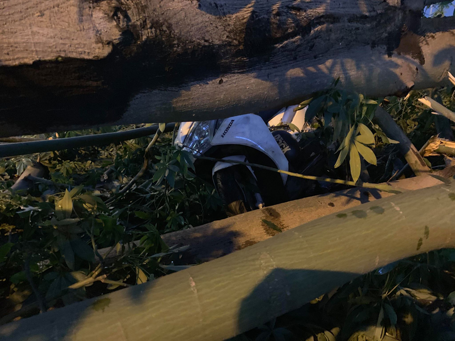 Hiện trường vụ cây đổ đè lên xe máy ở ngã ba Bưởi, Hoàng Hoa Thám khiến một người bị thương