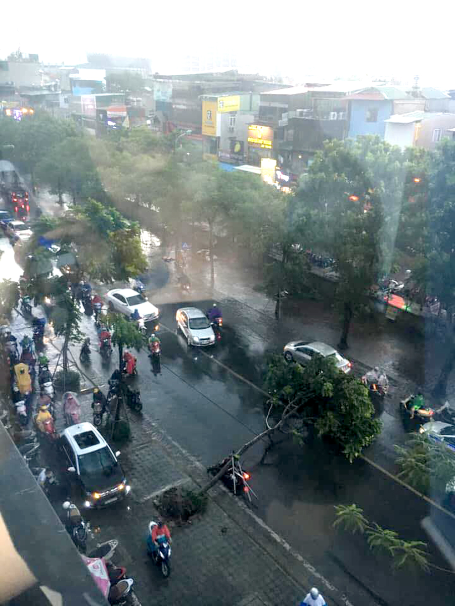 Cây đổ khiến giao thông tê liệt tại phố Thái Hà
