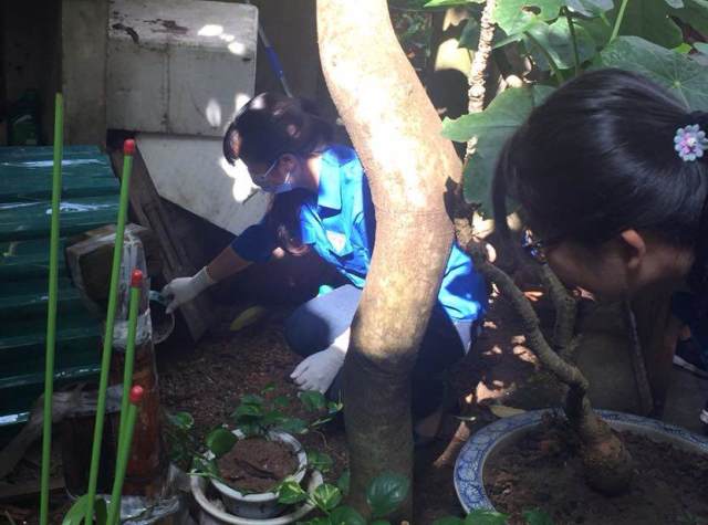 Gần 200 đoàn viên, thanh niên quận Long Biên ra quân vệ sinh môi trường phòng chống dịch sốt xuất huyết