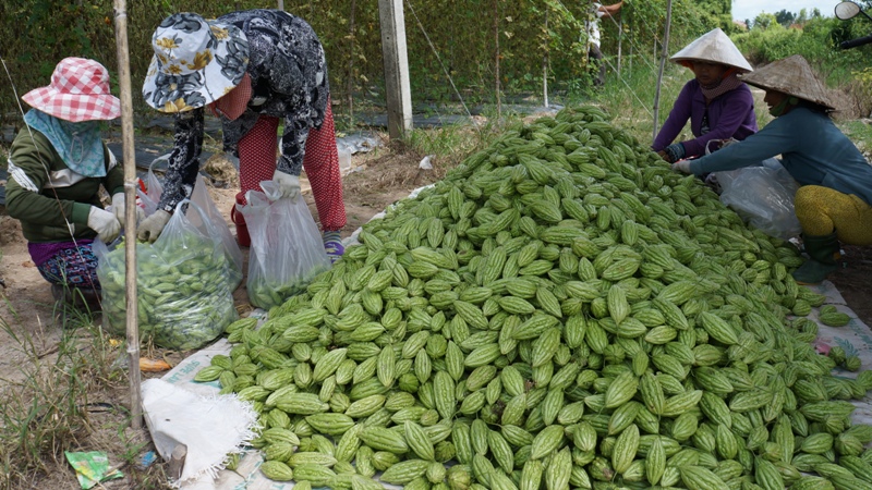 Tăng mức cho vay hộ nông dân khi không có tài sản bảo đảm