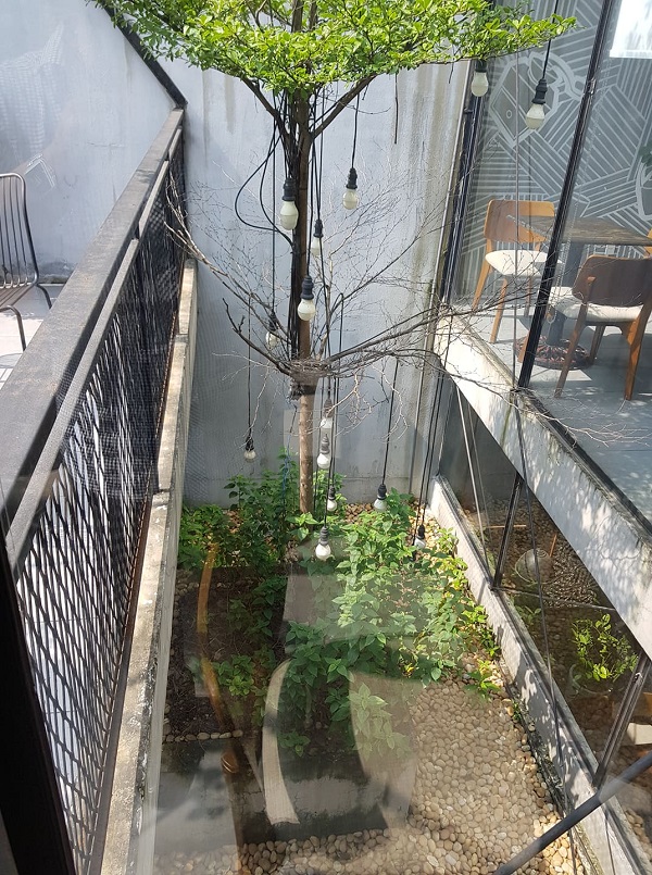 sàn nhà tầng 2 bị cắt xén để trồng cây xanh