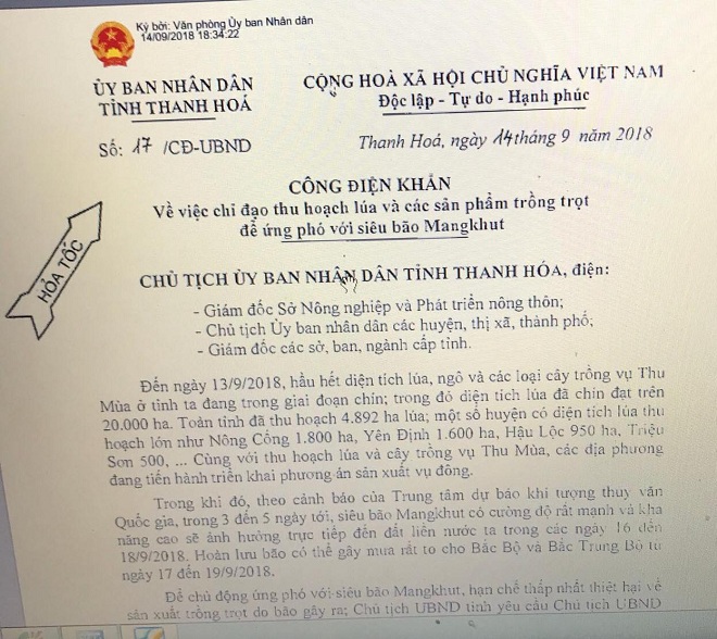 Công điện hỏa tốc chỉ đạo của UBND tỉnh Thanh Hóa các địa phương chỉ đạo thu hoạch lúa và các sản phẩm trồng trọt để ứng phó siêu bão