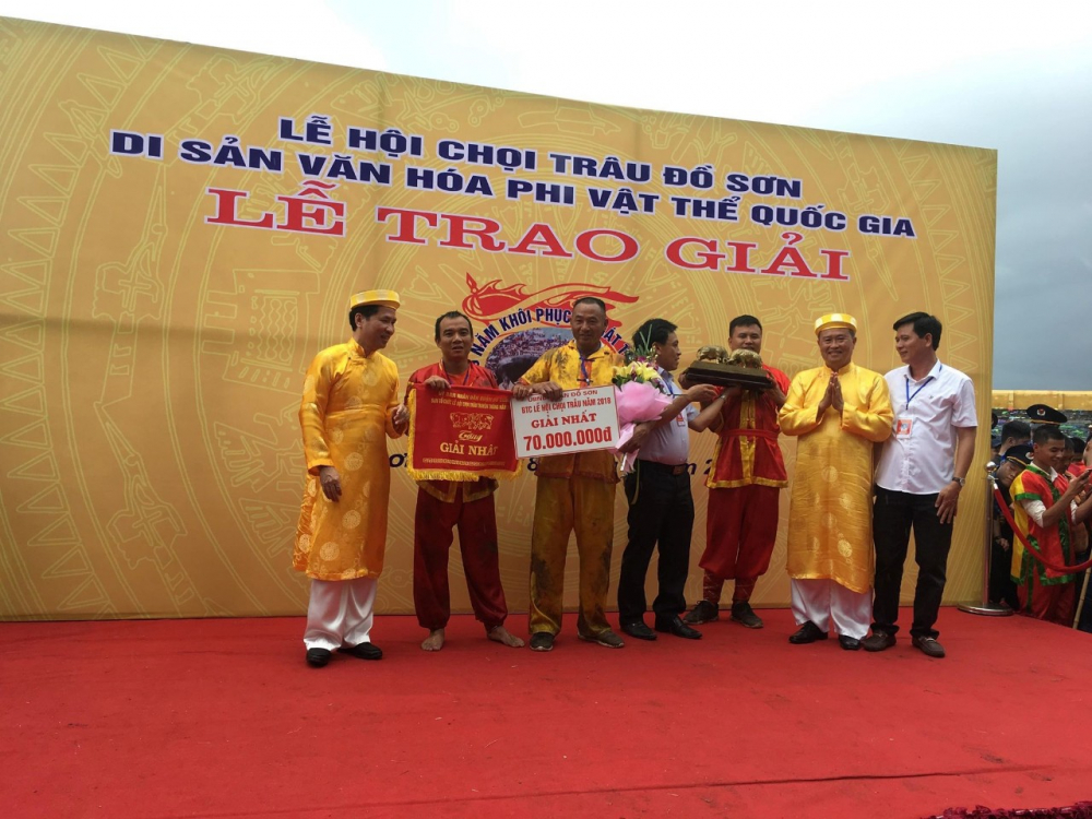 Giải thưởng 70 triệu cho ông trâu vô địch giải đấu chọi trâu Đồ Sơn 2018.