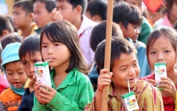 Sớm ban hành Thông tư Sữa học đường trong tháng 9