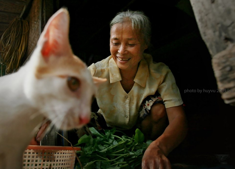 Triển lãm “Vì một Hà Nội đáng sống” khơi dậy và bảo vệ những vẻ đẹp truyền thống Hà Nội