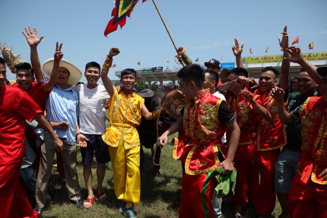 Lễ hội chọi trâu Đồ Sơn 2019: Những màn tranh tài gay cấn