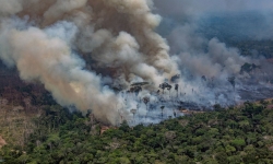 Cháy rừng Amazon gây hại đến sức khỏe trẻ em