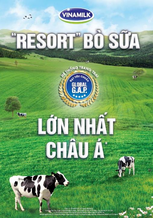 Bật mí dinh dưỡng vàng cùng đội tuyển bóng đá nữ quốc gia giành cúp vô địch Đông Nam Á 2019