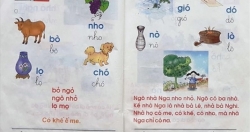 Sách giáo khoa Tiếng Việt của GS Hồ Ngọc Đại loại bỏ vì "không phù hợp với học sinh lớp 1"