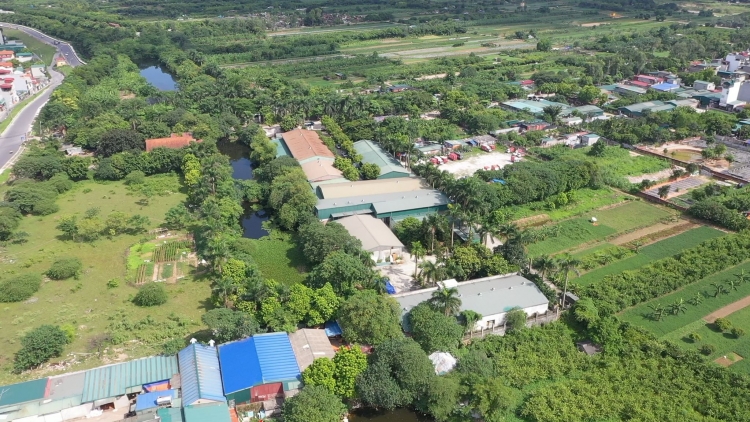 Hàng loạt nhà xưởng xây dựng trái phép trên đất nông nghiệp tại quận Long Biên.