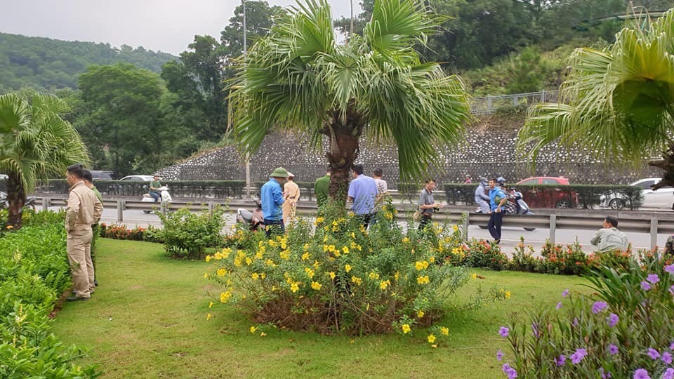 Nạn nhân bị tấn công bằng dao lâm nguy vì thuộc nhóm máu hiếm