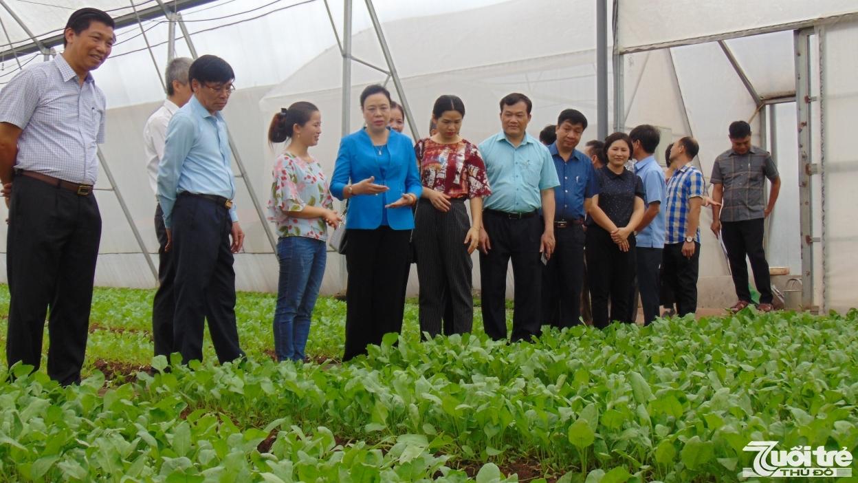 Phát triển nông nghiệp, xây dựng nông thôn mới nâng cao đời sống nông dân