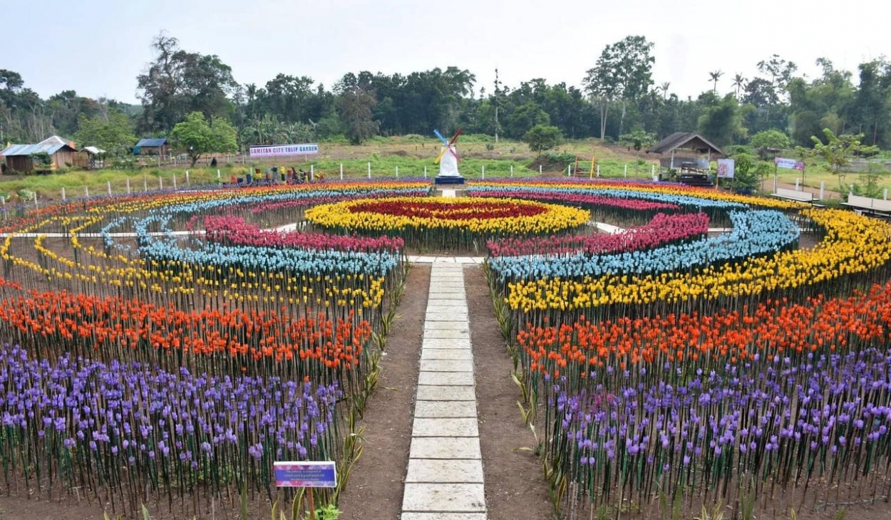 Biến rác thải nhựa thành vườn hoa tulip