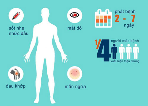 Hà Nội: Quyết liệt chống Zika tại 10 quận, huyện trọng điểm sốt xuất huyết
