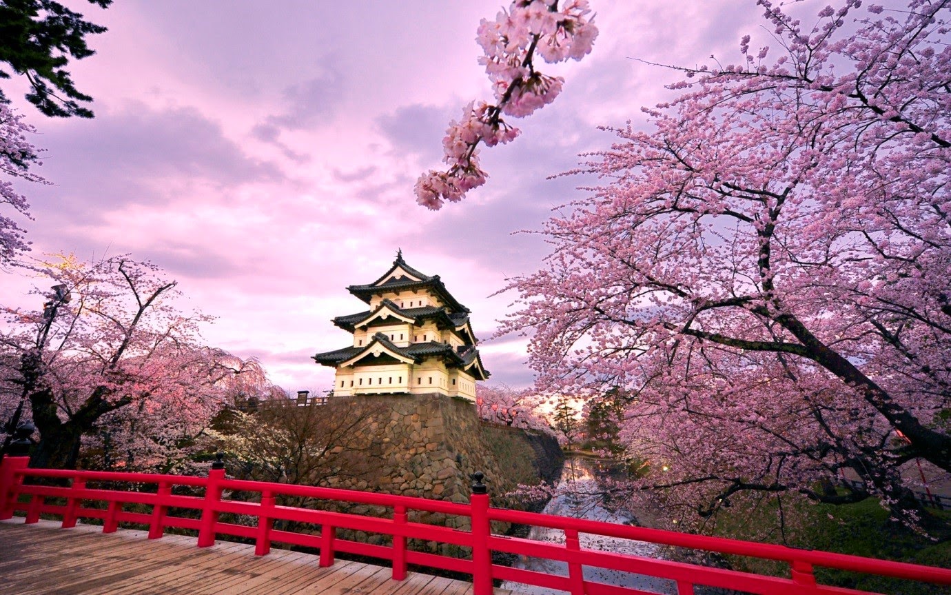 Tận hưởng dịch vụ Wi-Fi miễn phí với chương trình “Xin chào Nhật Bản!”