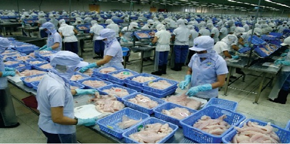 Trung Quốc vươn lên là thị trường xuất khẩu cá tra, ba sa lớn nhất của Việt Nam