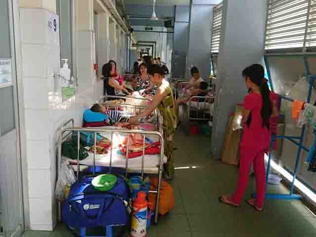 TP.HCM mưa nhiều, bệnh sốt xuất huyết tăng khó lường