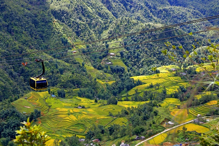 Lên cáp treo Fansipan ngắm hoa tam giác mạch mùa lễ hội