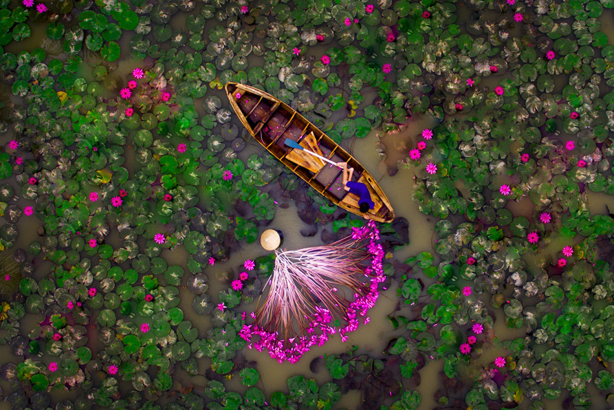 Festival Nhiếp ảnh Trẻ - nơi nghệ thuật thăng hoa