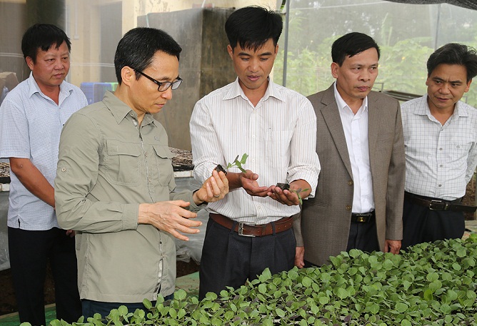 Tiến tới xoá bỏ tình trạng “rau hai luống, lợn hai chuồng”