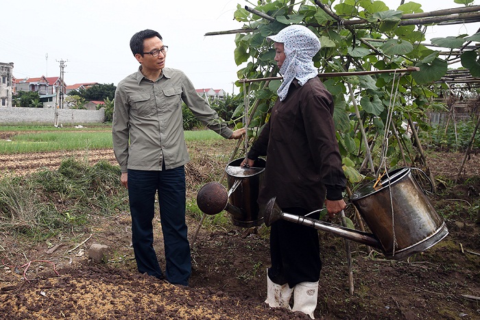 Tiến tới xoá bỏ tình trạng “rau hai luống, lợn hai chuồng”