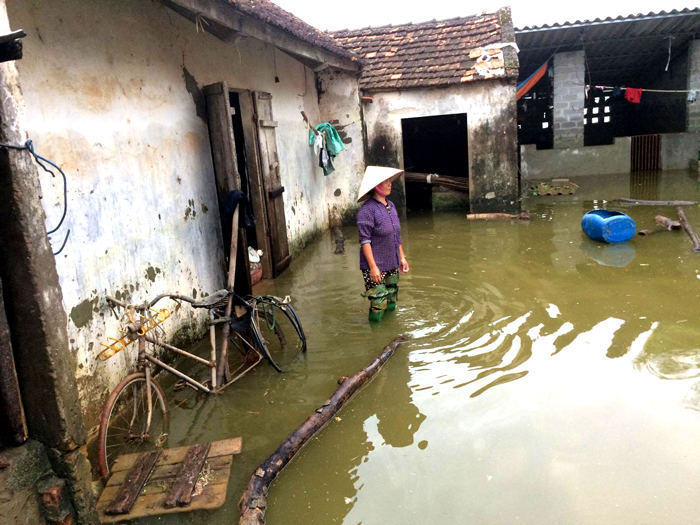 Hà Nội: Chính quyền và người dân tích cực khắc phục hậu quả sau lũ