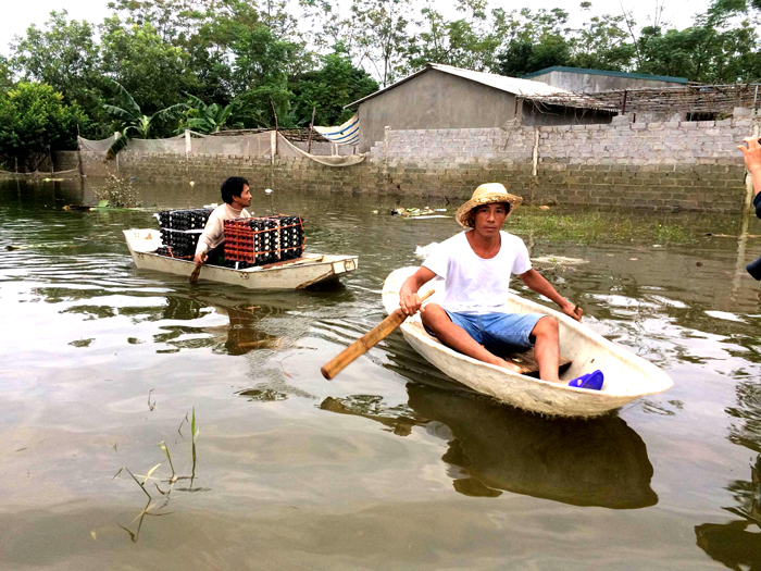 Hà Nội: Chính quyền và người dân tích cực khắc phục hậu quả sau lũ
