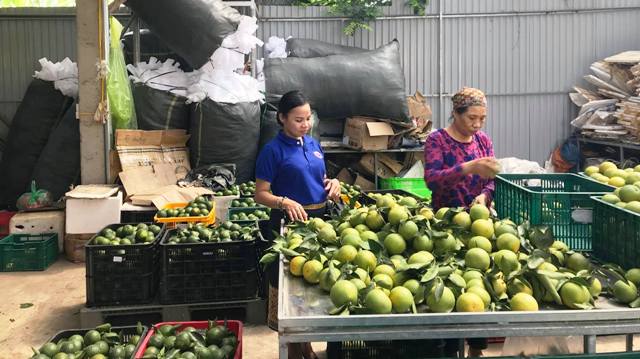 Đoàn đại biểu Thành đoàn Viêng Chăn thăm làng gốm Bát Tràng