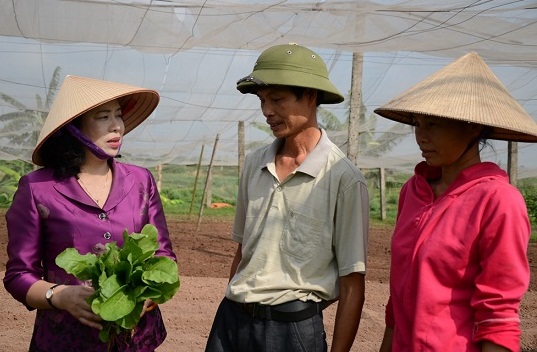 Công nhận Hoài Đức đạt chuẩn Huyện nông thôn mới