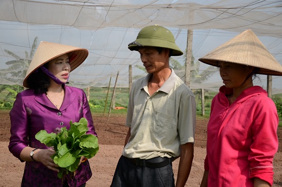 Công nhận Hoài Đức đạt chuẩn Huyện nông thôn mới