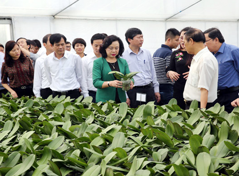 Huyện đạt chuẩn NTM đầu tiên của Hà Nội: Tự hào nhưng không được tự hài lòng