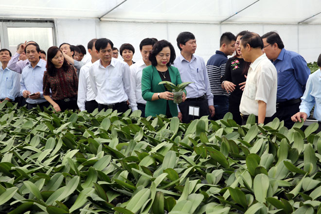 Huyện đạt chuẩn NTM đầu tiên của Hà Nội: Tự hào nhưng không được tự hài lòng
