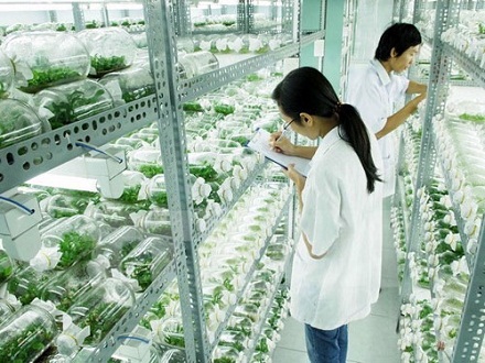 Cơ hội khởi nghiệp với “Tôi là nông dân 4.0”