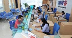 Gửi tiền ngay, bay đến Mỹ