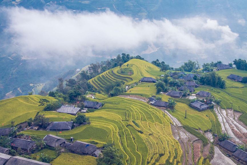 Ngỡ ngàng vẻ đẹp ruộng bậc thang Hoàng Su Phì mùa lúa chín