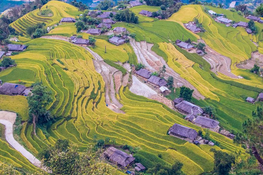 Hàng nghìn thửa ruộng bậc thang trải đều tít tắp, uốn lượn quanh những sườn đồi, lưng núi.