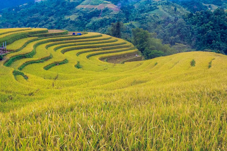 Những đường cong mềm mại, uốn lượn với núi rừng.